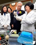 잔류농약 검사 이상없습니다