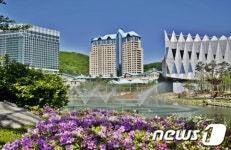 하이원리조트 봄맞이 패키지 3종 출시