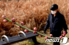 다가오는 봄 미세먼지만 없었더라면...