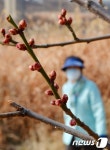 날씨는 따뜻하지만... 미세먼지 때문에