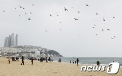 봄 만끽하는 부산시민