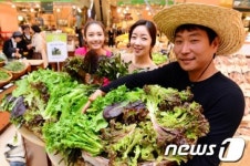 가까운 지역에서 재배한 채소가 더 건강하죠