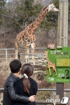 AI 소강국면…서울대공원, 재개장