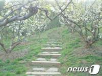 캠핑 계절이 돌아온다…서울 시내 캠핑장 예약 시작