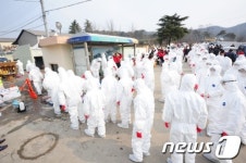 살처분에 투입되는 공무원들