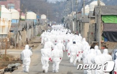 AI 살처분 행렬