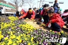[단신] 광주 북구, 새봄맞이 봄꽃 단장