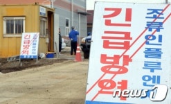 축산농가 개에서 발견된 AI항체, 문제없나?