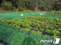 대전 동구, 주말농장 신청 접수
