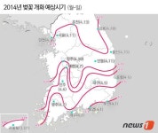 벚꽃 개화시기, 27일 서귀포 시작…서울 윤중로 4월15일 절정