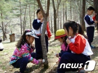 양양국유림관리소 숲 유치원 운영