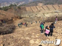 부여 국유림 관리소, 생명의 숲 나무심기