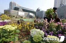 서울광장에서 꽃향기 맡으세요