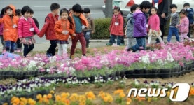 면목천로녹지대-1 | '봄꽃과 동심'