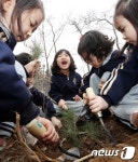 우면산을 푸르게