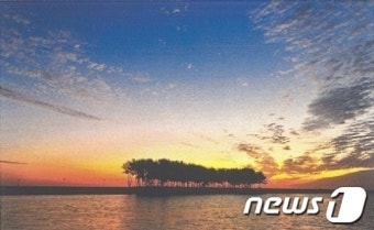 대한항공, 英사진작가에 저작권 승소(상보)