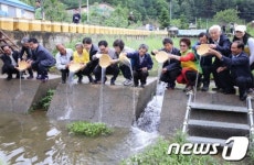 대전서구, 도랑살리기 공모 3년연속 선정