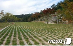 예산군 국민여가캠핑장 5일 개방