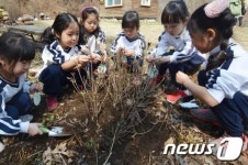 [화보] 내 이름 붙인 예쁜 나무 심어요