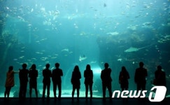 고양시 수족관, 수도권 최대 아쿠아플라넷 일산