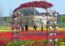 튤립길 따라 걸어요