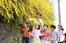 황매화 보세요