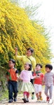 노란 동심