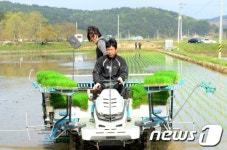 강원도 첫 모내기