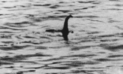 네스호 괴물 네시 위성사진 포착?