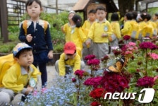 친구 손 잡고 나비 구경 왔어요