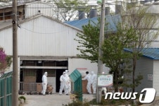 경기도 이천서 AI 발생