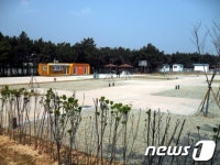 양양군 낙산 오토캠핑장 5월 개장