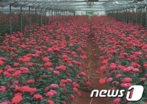 진천장미단지, 농축산부 2년 연속 최우수상