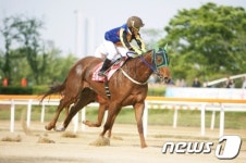 `조이럭키 서울마주협회장배 우승