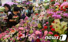 어버이날, 붐비는 카네이션 꽃 시장
