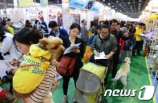애견용품들이 한 자리에!