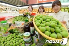 말의 해 기운 받은 첫 매실 드세요