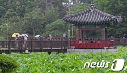 비 내리는 덕진 공원