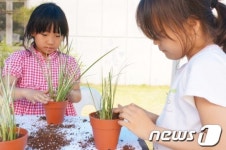 [화보] 2014 원주단오놀이한마당 개최