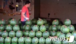 초여름 날씨, 수박이 생각나네