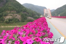 단양군, 도로변 녹색 도시경관 조성