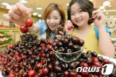 맛있는 워싱턴 빙(BING)체리 사가세요