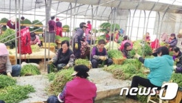 울산 농축산물 공동 판매  유통 협약식