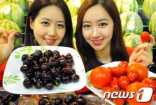 월드컵 열기 속 레드 후르츠 인기