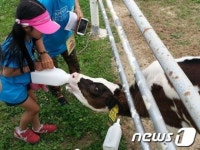 [화보]해피 버스데이 시즌2 1차 체험…이천 와우목장