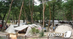 국립공원에서 즐기는 글램핑 3곳으로 늘린다