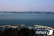 사천만 일대, 새조개 7년만 최대 풍년