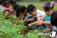 득량역에 봉숭아 심어요
