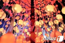 국제 LED 엑스포