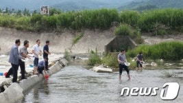 [단신]장수군, 금강천·요천천에 다슬기 방류
